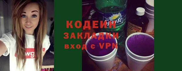ПСИЛОЦИБИНОВЫЕ ГРИБЫ Заводоуковск