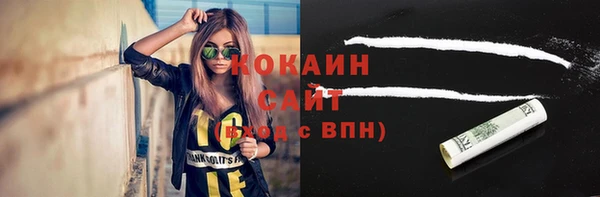 ПСИЛОЦИБИНОВЫЕ ГРИБЫ Заводоуковск