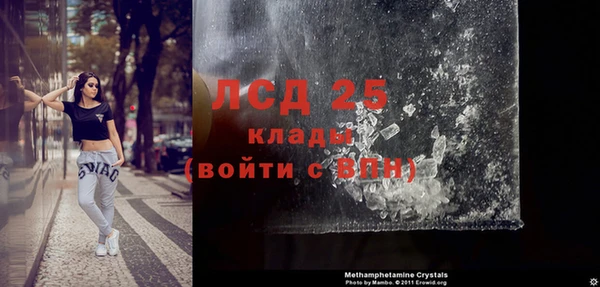 ПСИЛОЦИБИНОВЫЕ ГРИБЫ Заводоуковск
