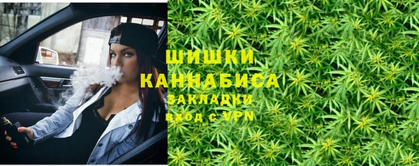 ПСИЛОЦИБИНОВЫЕ ГРИБЫ Заводоуковск