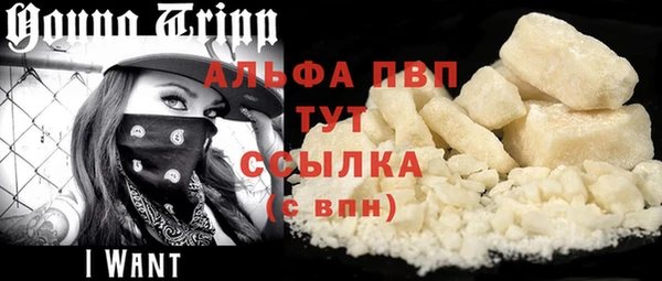 ПСИЛОЦИБИНОВЫЕ ГРИБЫ Заводоуковск